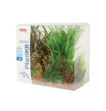 Rostliny akvarijní JALAYA 3 sada Zolux 1 sada