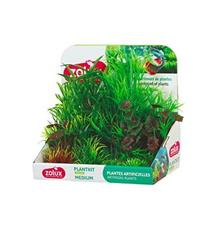 Rostliny akvarijní PLANTKIT 2  Zolux 1 sada/M