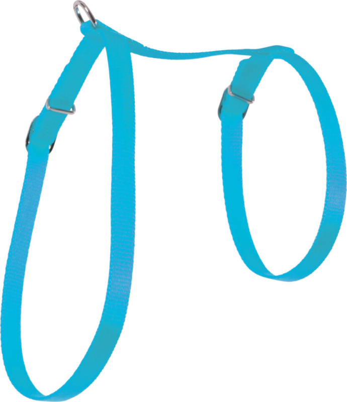 Postroj kočka nylon 10mm modrý Zolux