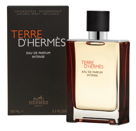 HERMÈS Terre d’Hermès Intense parfémovaná voda intense pro muže 100 ml