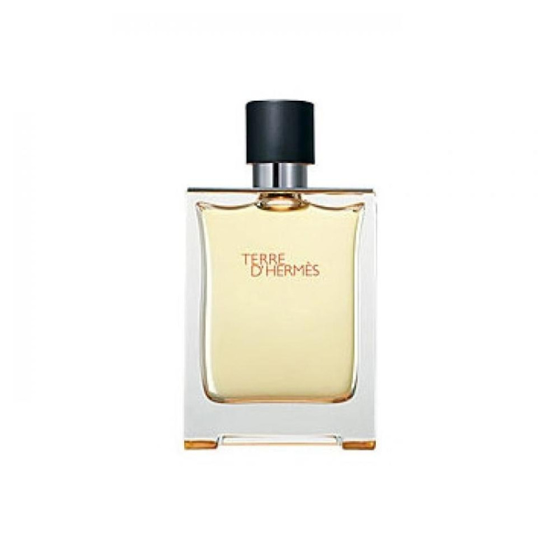 D´HERMÈS Terre D Hermes Toaletní voda 200 ml