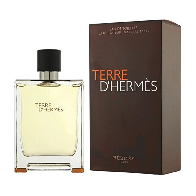 D´HERMÈS Terre D Hermes toaletní voda 100 ml