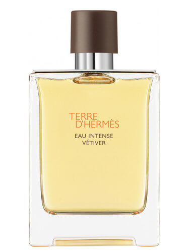 HERMÈS Terre d’Hermès Eau Intense Vétiver parfémovaná voda pro muže 100 ml