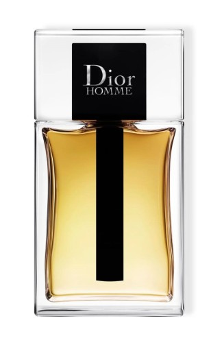 DIOR Dior Homme toaletní voda pro muže 100 ml