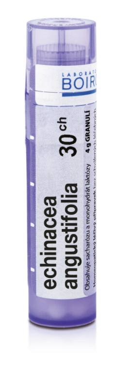 BOIRON Echinacea Angustifolia CH30 4 g