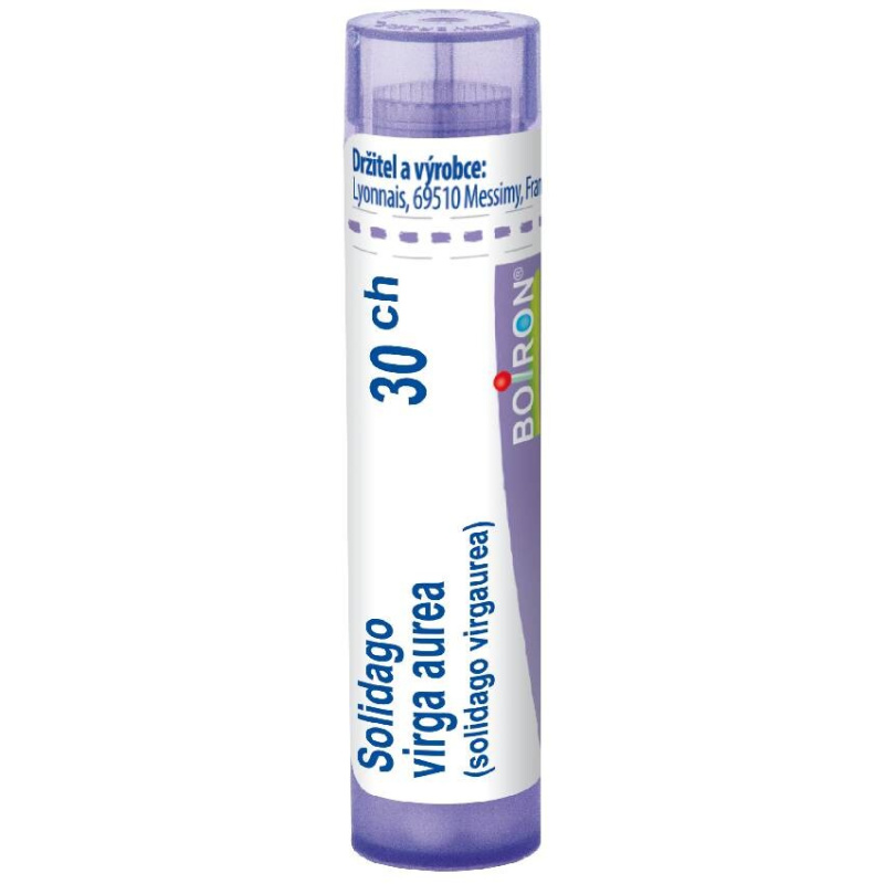 SOLIDAGO VIRGA AUREA POR 30CH GRA 4G