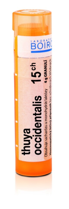 Thuya Occidentalis 15CH gra.4g