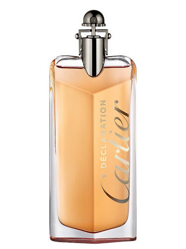 Cartier Déclaration Parfum parfémovaná voda pro muže 100 ml