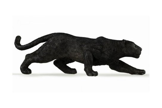 Panter černý -  Autor Neuveden
