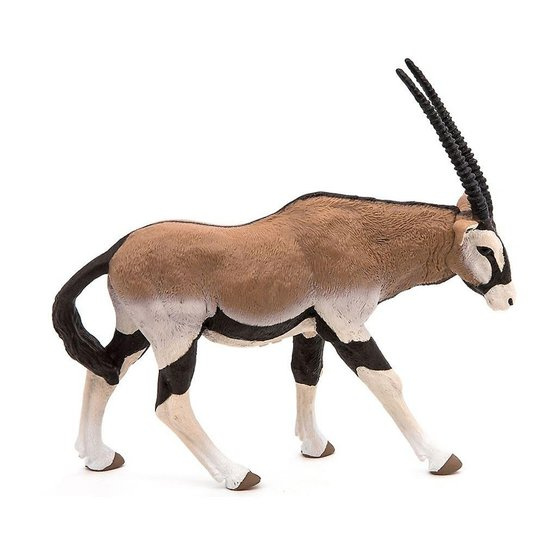 Antilopa Oryx -  Autor Neuveden