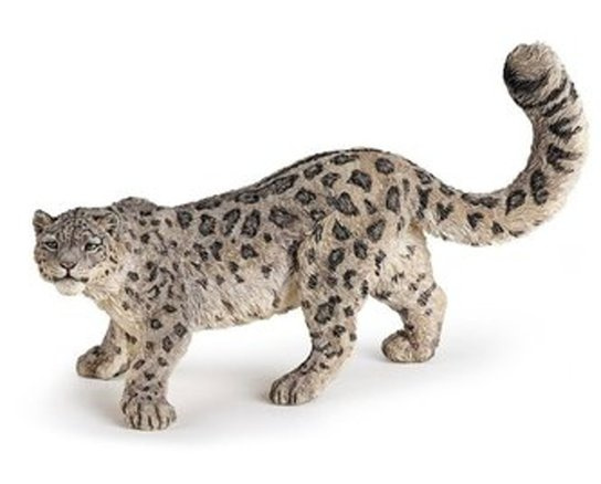 Sněžný leopard -  Autor Neuveden