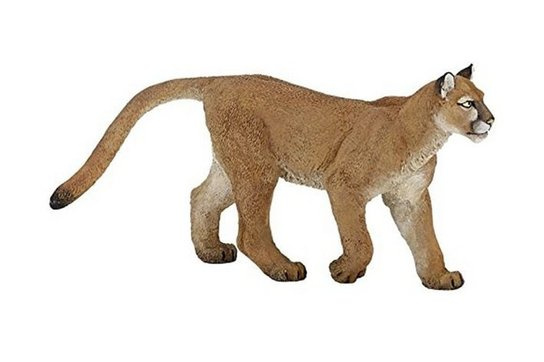 Puma -  Autor Neuveden