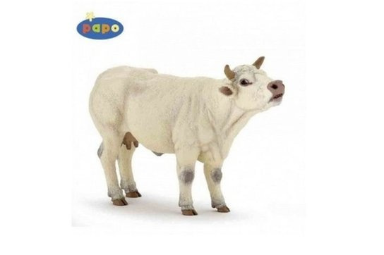 Kráva Charolais -  Autor Neuveden
