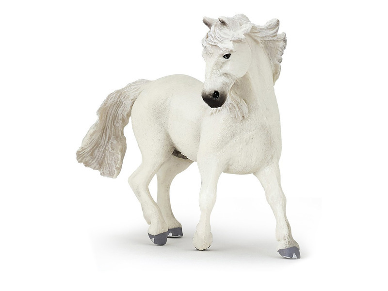 Kůň Camargue