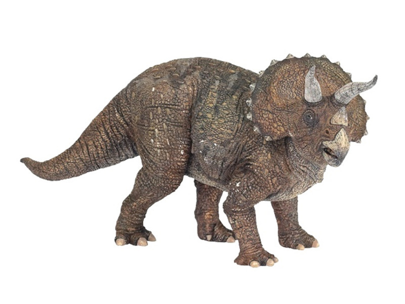 Triceratops