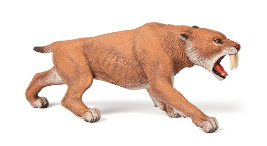 Smilodon -  Autor Neuveden