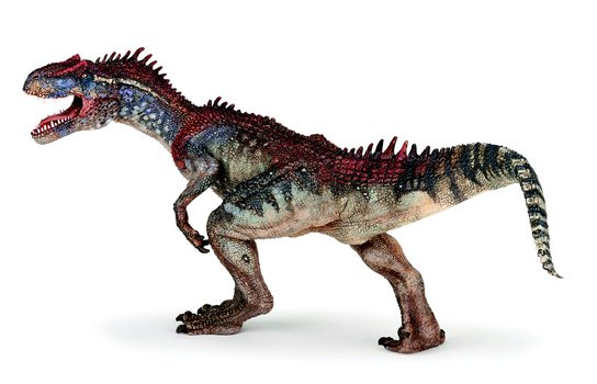 Allosaurus -  Autor Neuveden