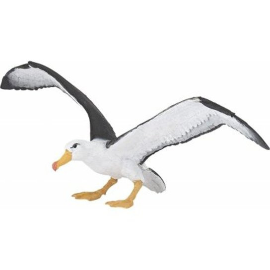 Albatros -  Autor Neuveden