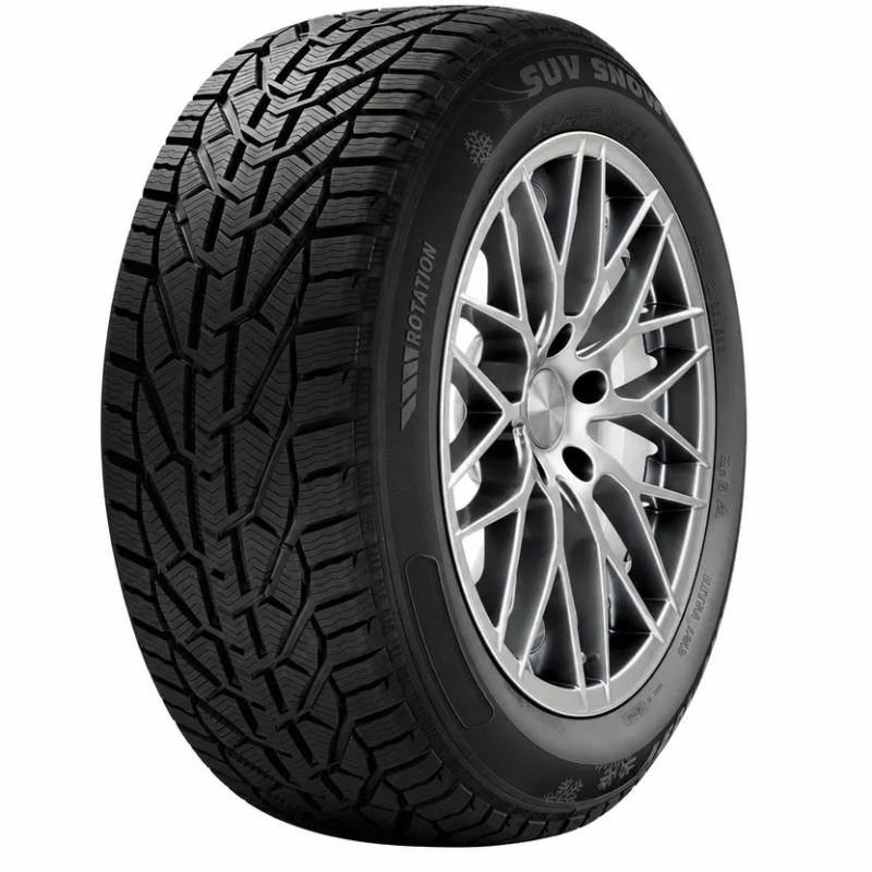 Riken RIKEN SNOW BSW M+S 3PMSF 195/55 R16 87t