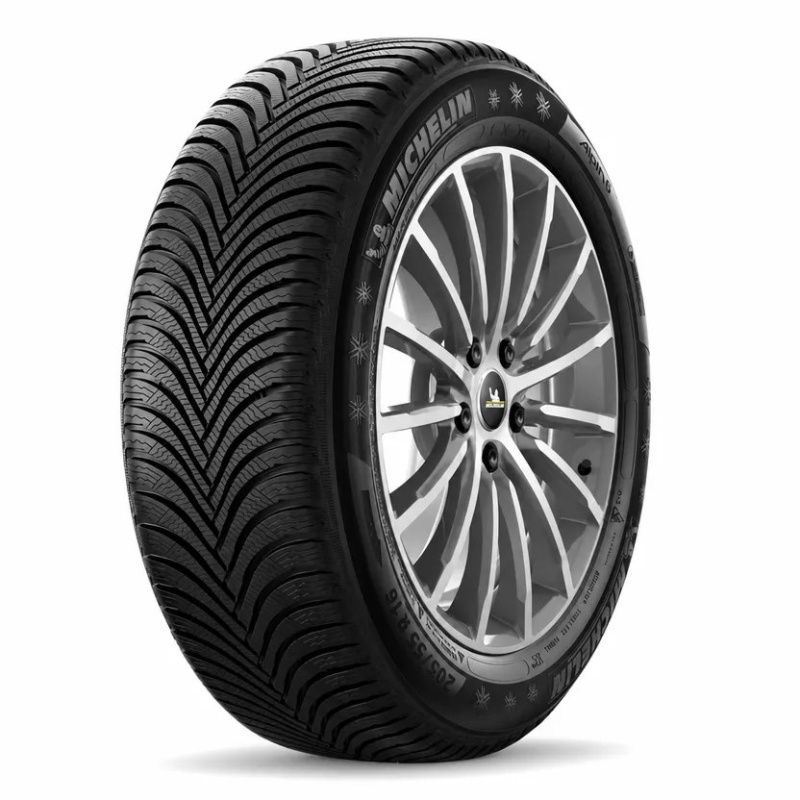 MICHELIN 305/30R21*W PILOT ALPIN 5 104W XL MO1