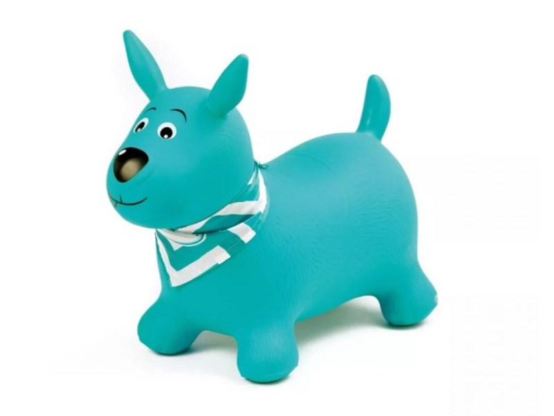 Ludi Skákací pes tyrkys