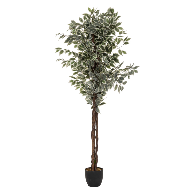 Atmosphera Vysoký umělý fíkus s květináčem, dvoubarevný, výška 180 cm zelený