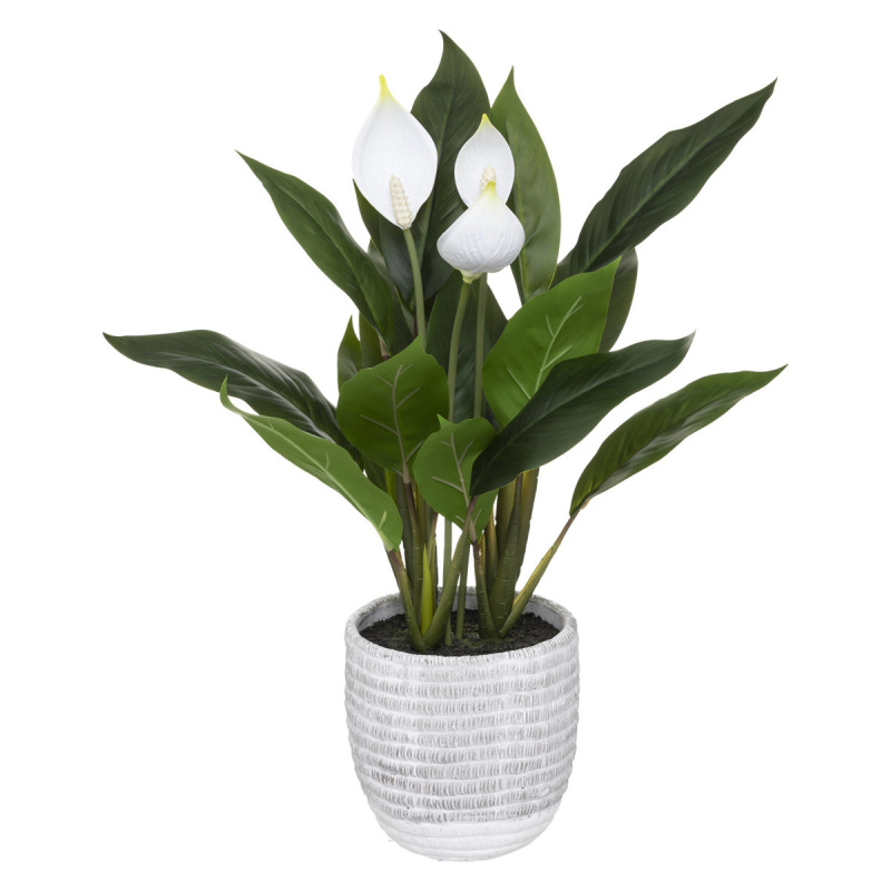 Atmosphera Umělá rostlina LOPATKOVEC, 54 cm zelená