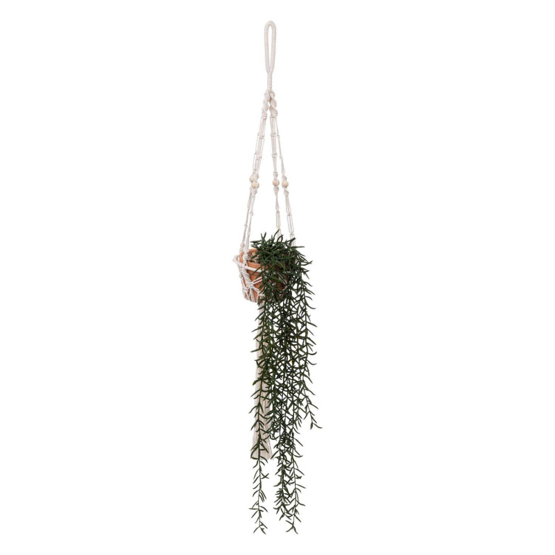 Atmosphera Umělé senecio Ali, 92 cm zelená