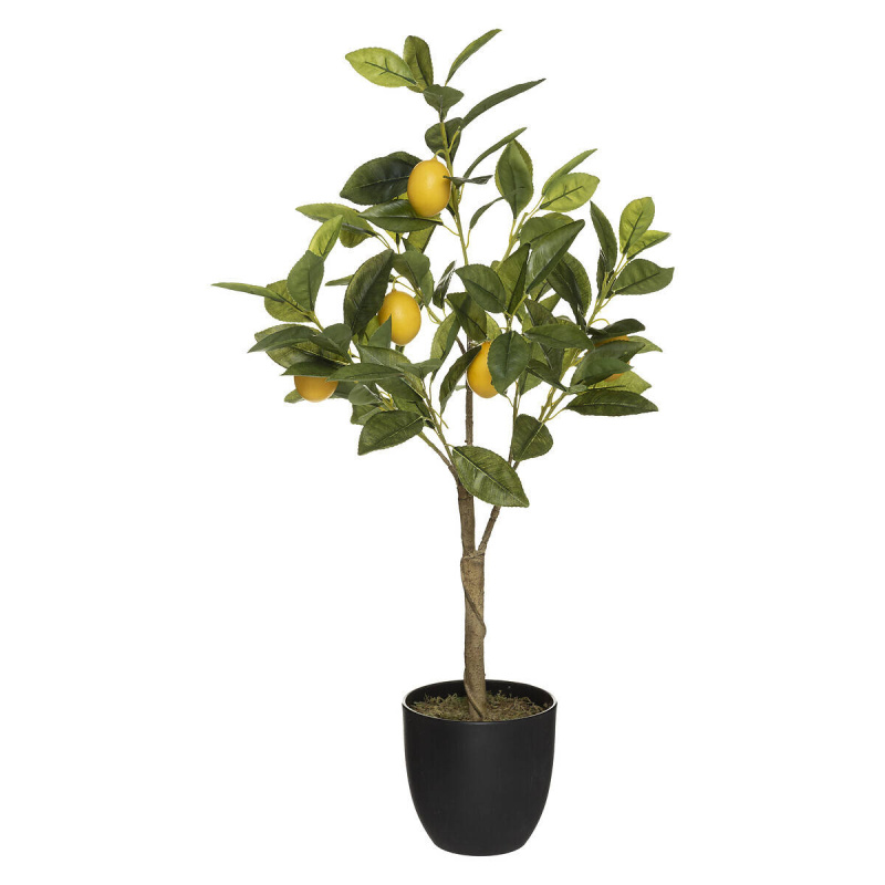 Atmosphera Citronovník - umělý, v květináči, výška 73 cm zelená