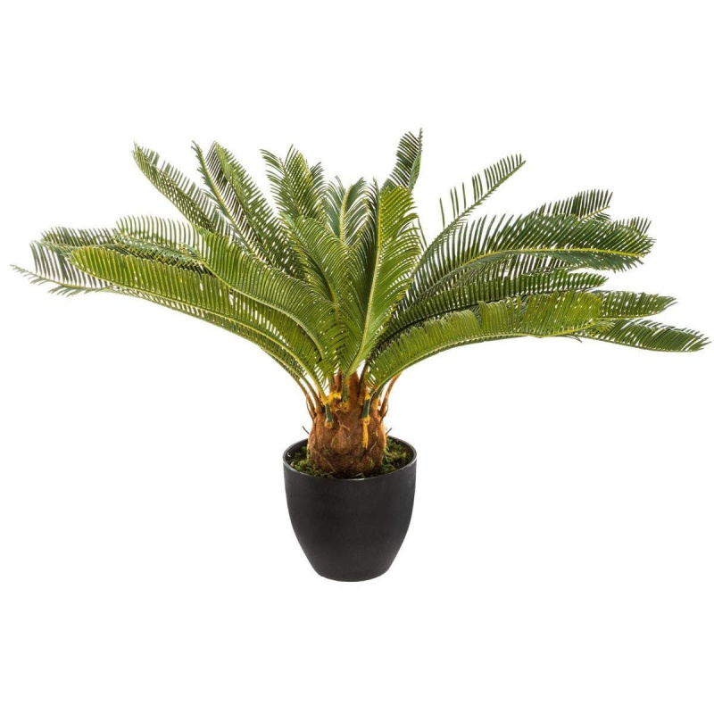 Atmosphera Umělá rostlina v květináči PALMA CYKAS, sag tree, 72 cm zelená