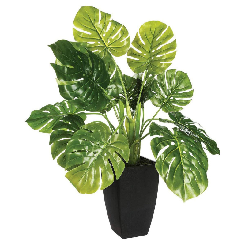 Atmosphera Umělá rostlina MONESTERA, 70 cm zelená