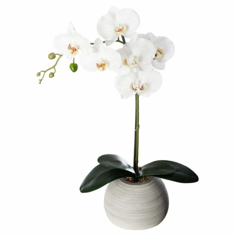 Atmosphera Bílá umělá orchidej v květináči, výška 53 cm vícebarevná