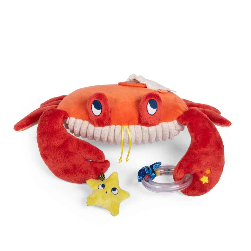 Velký aktivity krab Moulin Roty