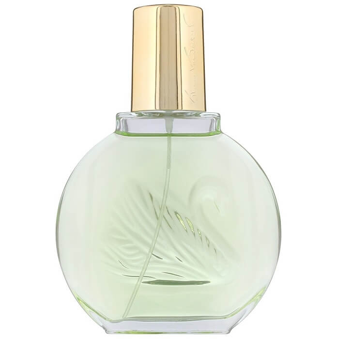 Gloria Vanderbilt Jardin a New York parfémovaná voda pro ženy 100 ml