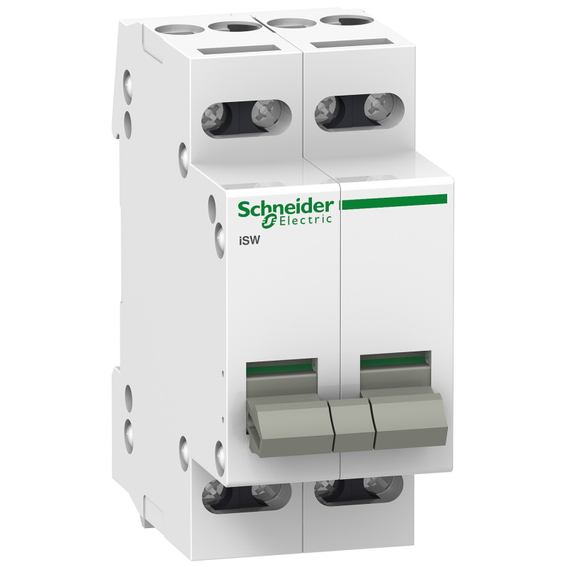 Vypínač Schneider A9S60420