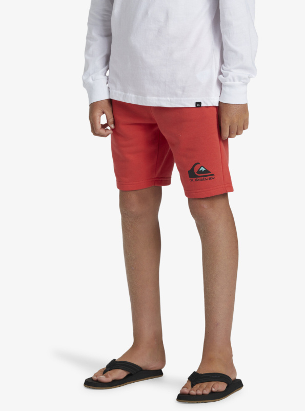 Chlapecké šortky Quiksilver EASY DAY Velikost: XL/16