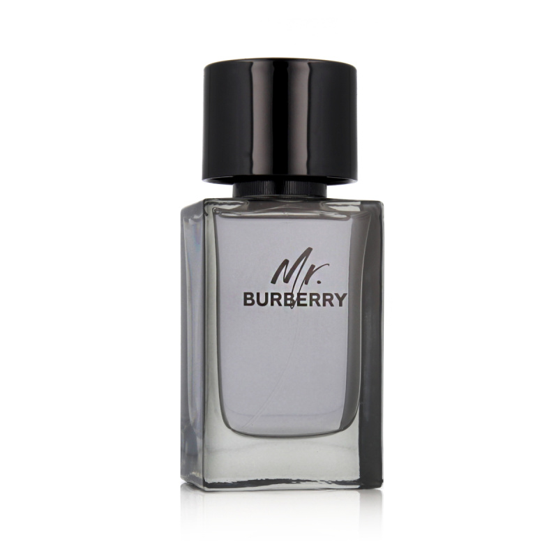 Burberry Mr. Burberry toaletní voda pro muže 100 ml