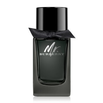 Burberry Mr. Burberry parfémovaná voda pro muže 100 ml
