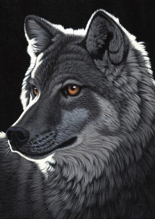 Grafika Schimmel: Night Wolf / 0437 / 1000 dílků