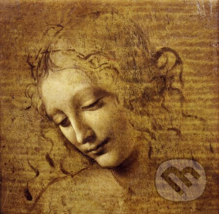 Leonardo da Vinci : The Face of Giovane Fanciulla, 1508 - puzzle z kategorie Umělecké
