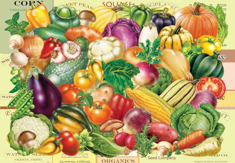 Puzzle Zahradníkův poklad 1000 dílků