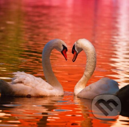 Swans - puzzle z kategorie Umělecké