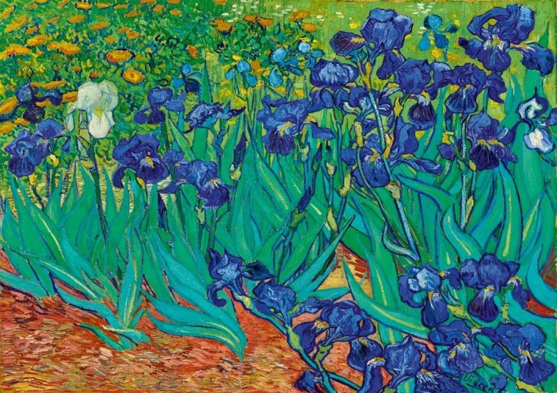 BlueBird Vincent Van Gogh Kosatce 1889 1000 dílků