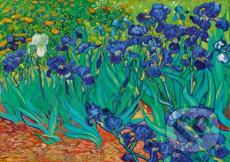 BlueBird Vincent Van Gogh Kosatce 1889 1000 dílků