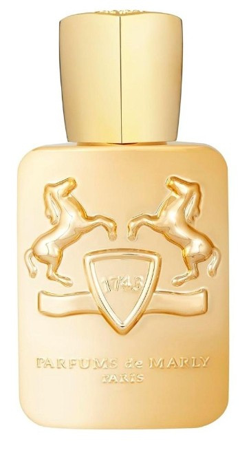 Parfums De Marly Godolphin parfémovaná voda pro muže 125 ml