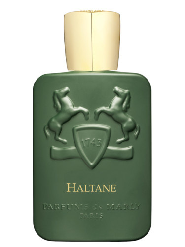 Parfums De Marly Haltane parfémovaná voda pro muže 75 ml