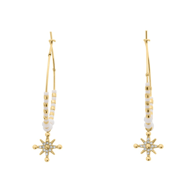 Náušnice PIERRE LANNIER model ANTHAREA BJ25A2211