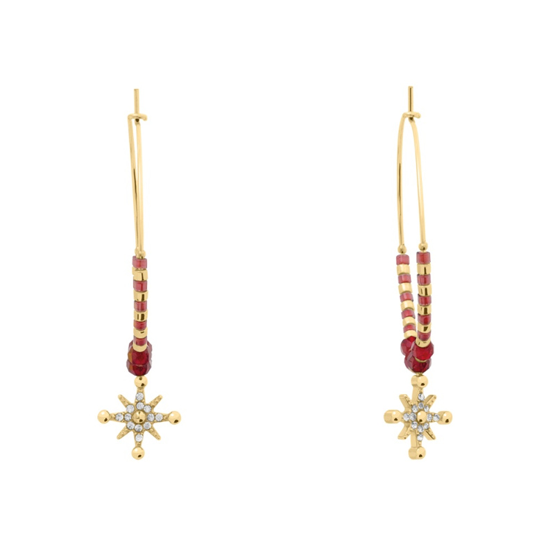 Náušnice PIERRE LANNIER model ANTHAREA BJ25A2251