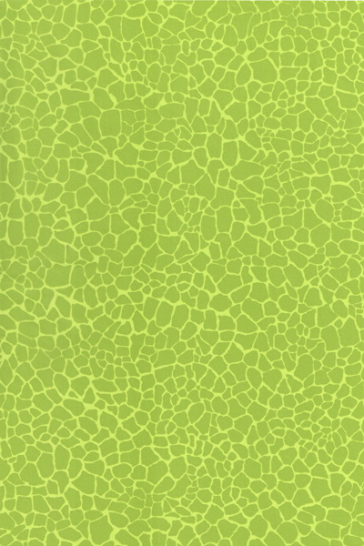 Papír Décopatch (1ks) Zelená mozaika