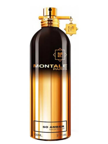 Montale So Amber - EDP 100 ml